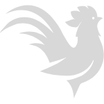 Sabung Ayam